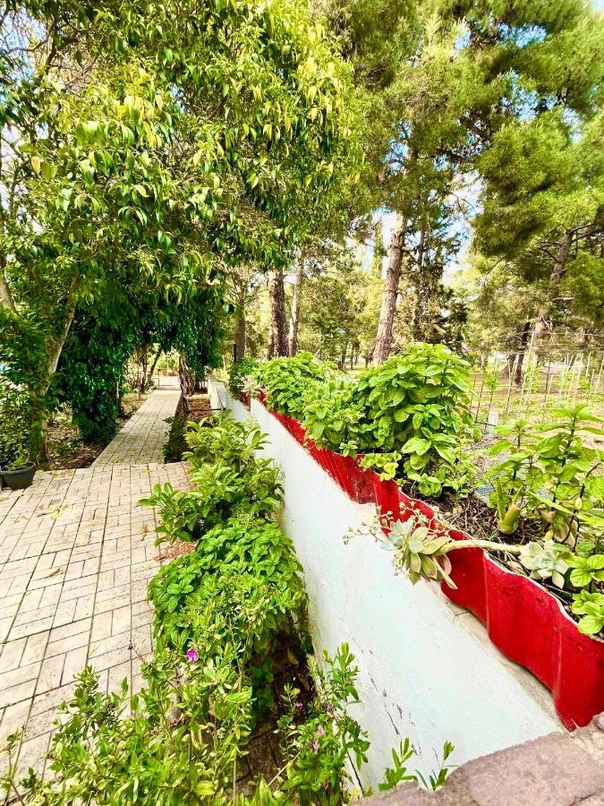 Villavictoria Marias View Pool Apartment Peraia  Ngoại thất bức ảnh